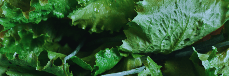 napowrimo ⬩➤ day&nbsp;twenty