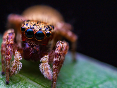 napowrimo ⬩➤ day&nbsp;twenty-two