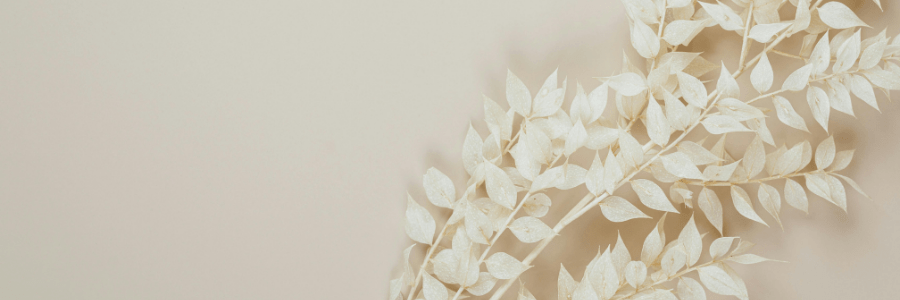 napowrimo ⬩➤ day&nbsp;twenty-eight